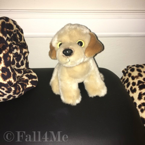 A plush dog as fortune