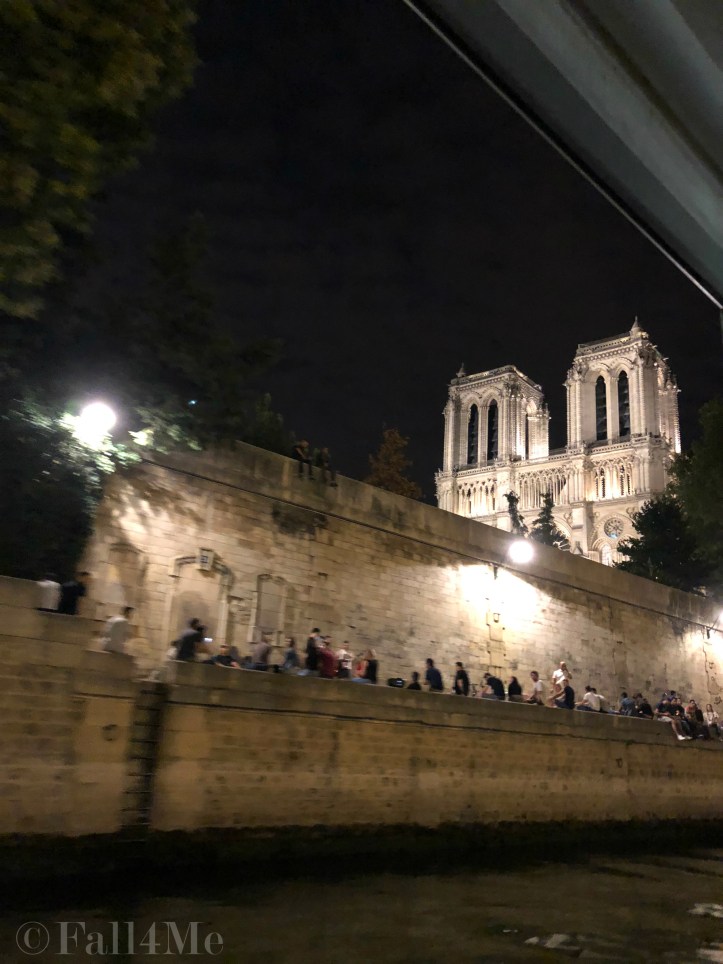 The cathedral Notre Dame