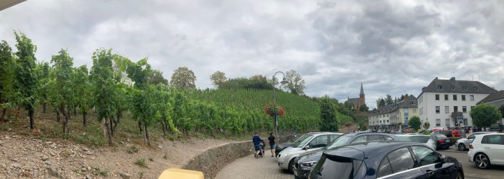 One of the wine-growing estates in Saarburg.