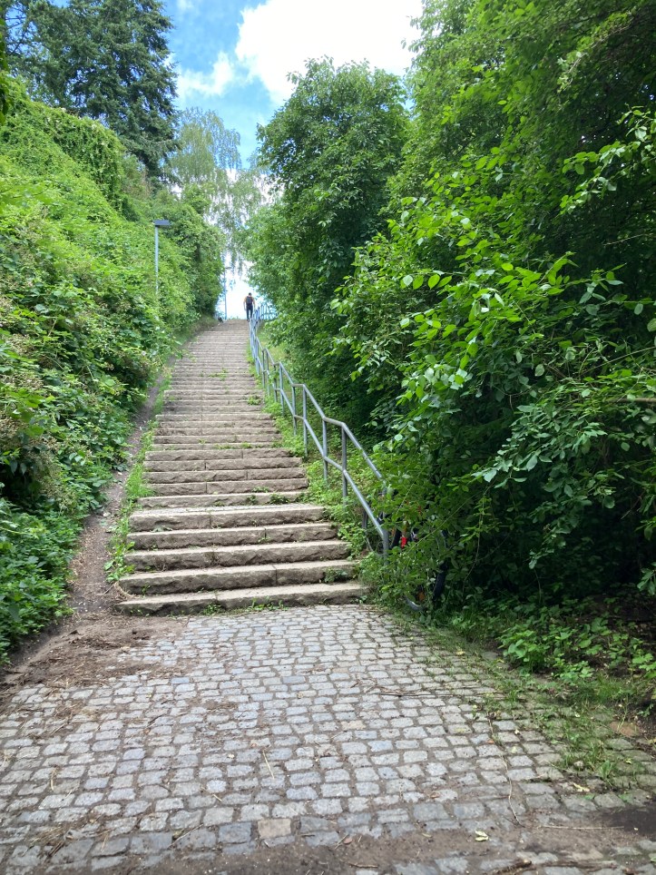 Luneburg lake staris