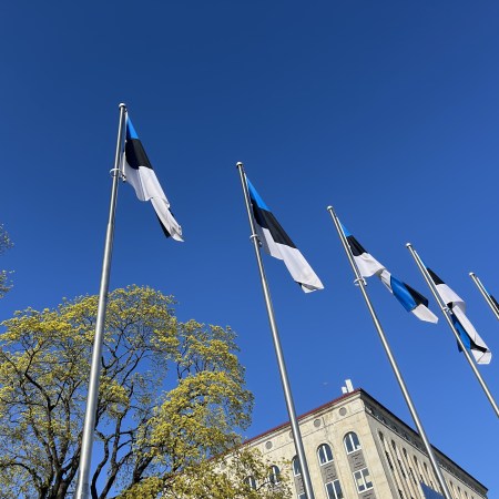 Estonian flags in Tallinn